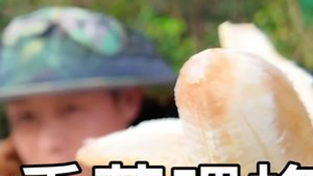 繁蜂香蕉能不能代替花粉，蜜蜂吃不吃香蕉。#养蜂生活 #养蜂 #养蜂人 #香蕉喂蜜蜂 #中蜂养殖技术讲解 #花粉