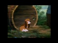 Fox and the hound: Todd meets Copper