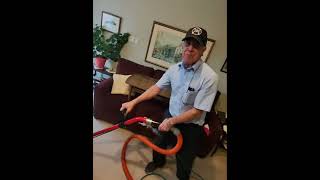 Cleaning 30 year old carpet