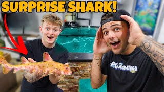 SURPRISING PAUL CUFFARO WITH AN EXOTIC SHARK!!! *INSANE*