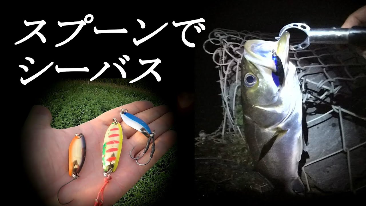 スプーンオンリーでシーバス 北浦シーバス やまいぬ Youtube スプーンオンリーでシーバス 北浦シーバス やまいぬ Youtube