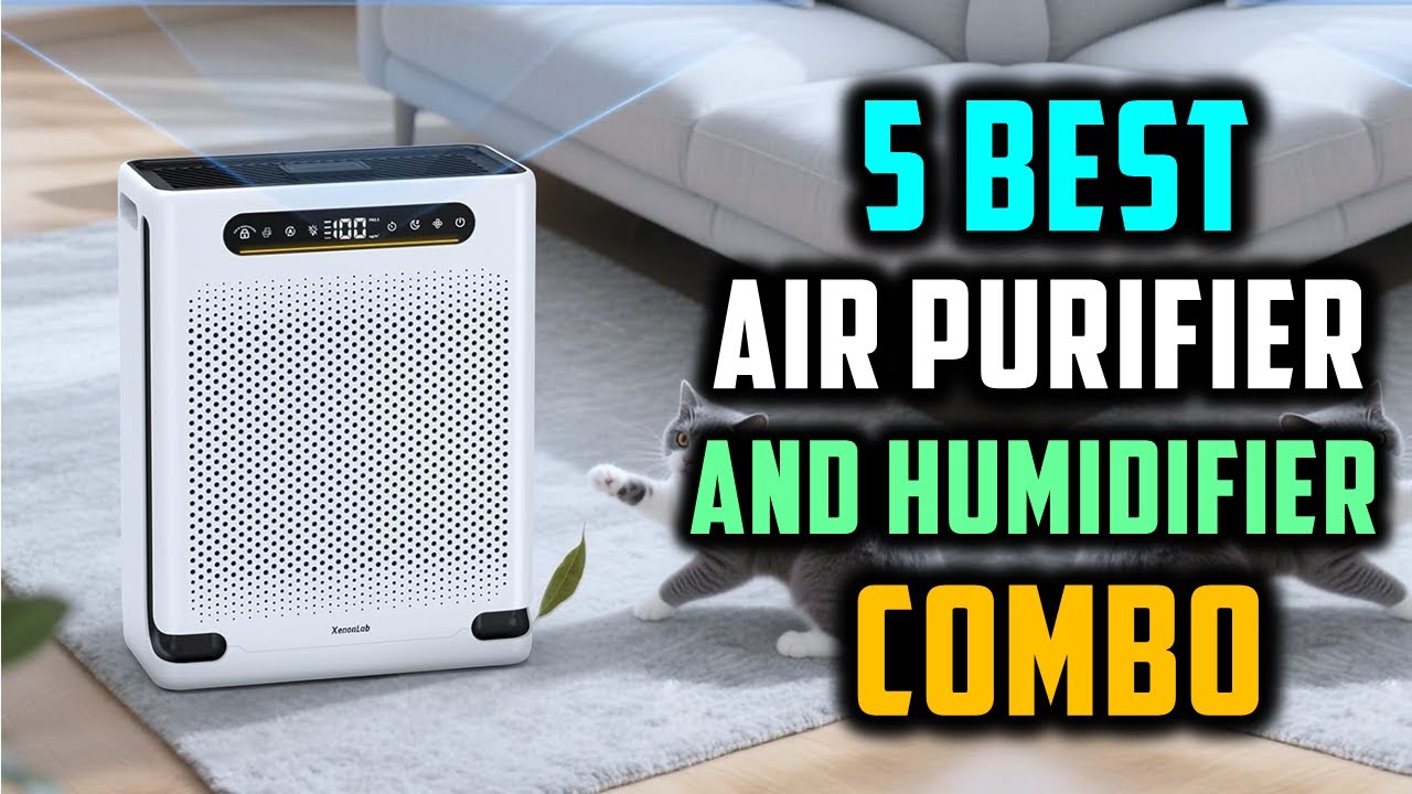 Top 5: Best Air Purifier and Humidifier Combo in 2025