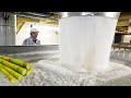 How Sugar Is Made from Sugarcane | Amazing Sugar Factory Process