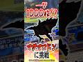 #釣りスピ で #メダル1000枚 ゲット!?進化しすぎて大変なことにwww #釣りスピワンダー #釣りスピリッツワンダー #釣りスピ研究所 #釣りスピリッツ