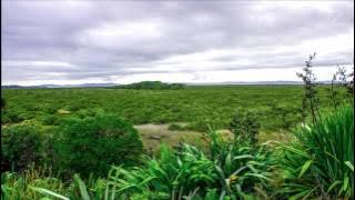Woodhill Whangarei Northland New Zealand