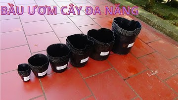 BẦU ƯƠM CÂY ĐỦ KÍCH THƯỚC || CHUYÊN ƯƠM CÂY GIỐNG , CÂU RAU || VTNNKC 0988015061