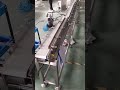 Customized conveyor line and online checkweigher with counting function#checkweigher #weightcheck
