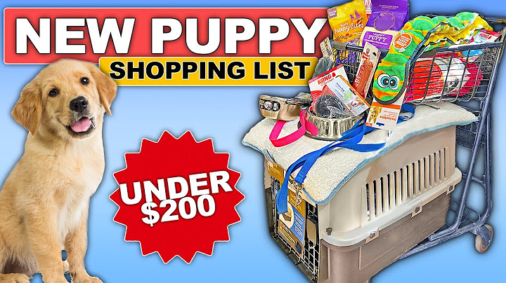 EVERYTHING You Need For Your Puppy’s First Week Home!