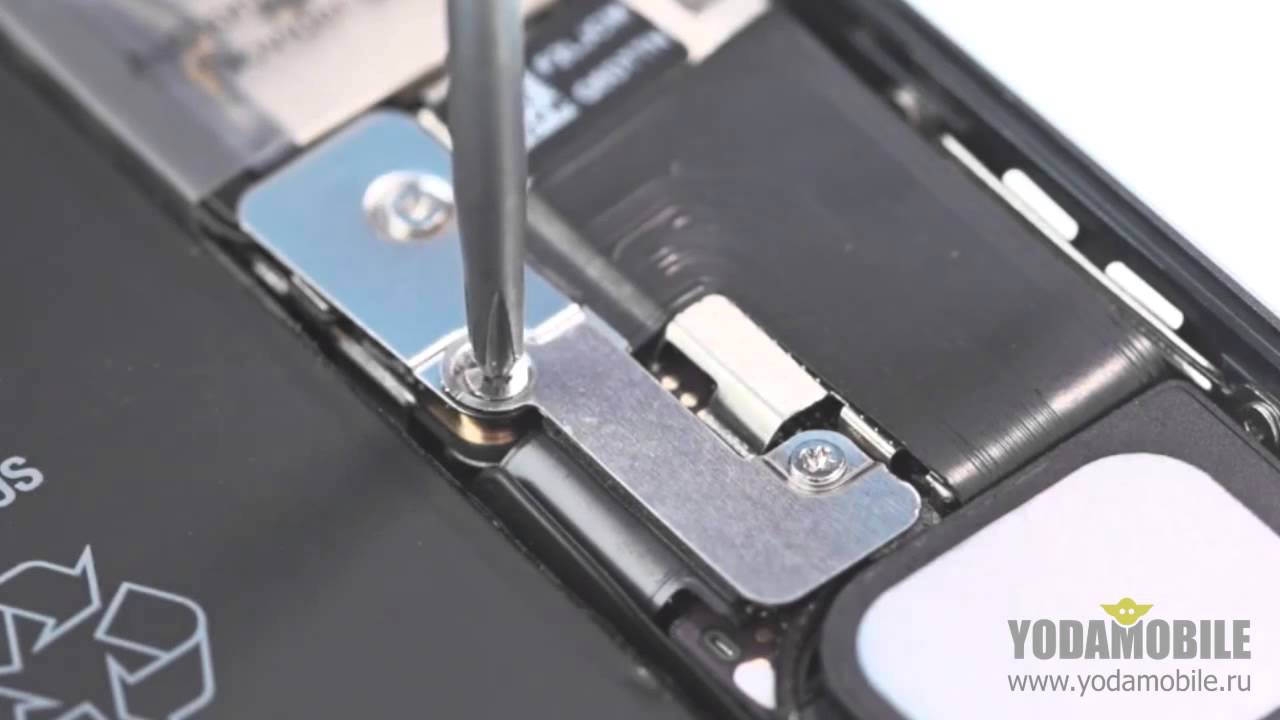 заменить динамик на iphone 5s заменить динамик на iphone 5s