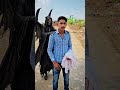 #video #lifeisbutadream #trending #mewati #reels #video #trending #lifeisbutadream