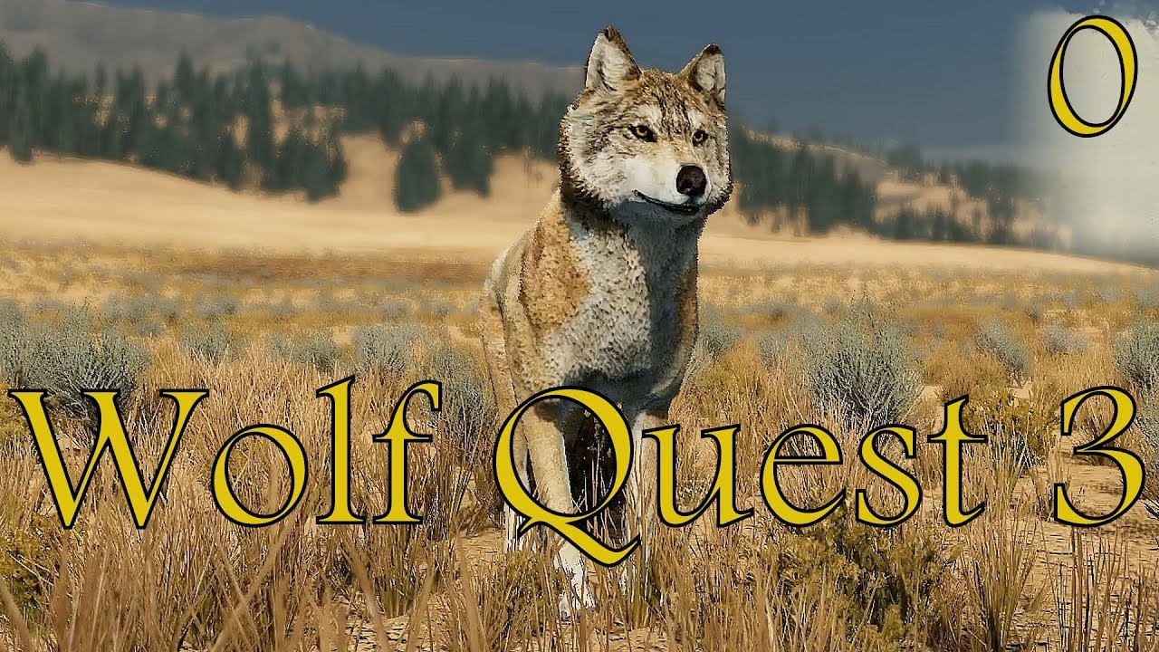 WOLFQUEST 3 00 Erster Einblick Charaktererstellung WolfQuest wolfquest-3-00-erster-einblick-charaktererstellung-wolfquest