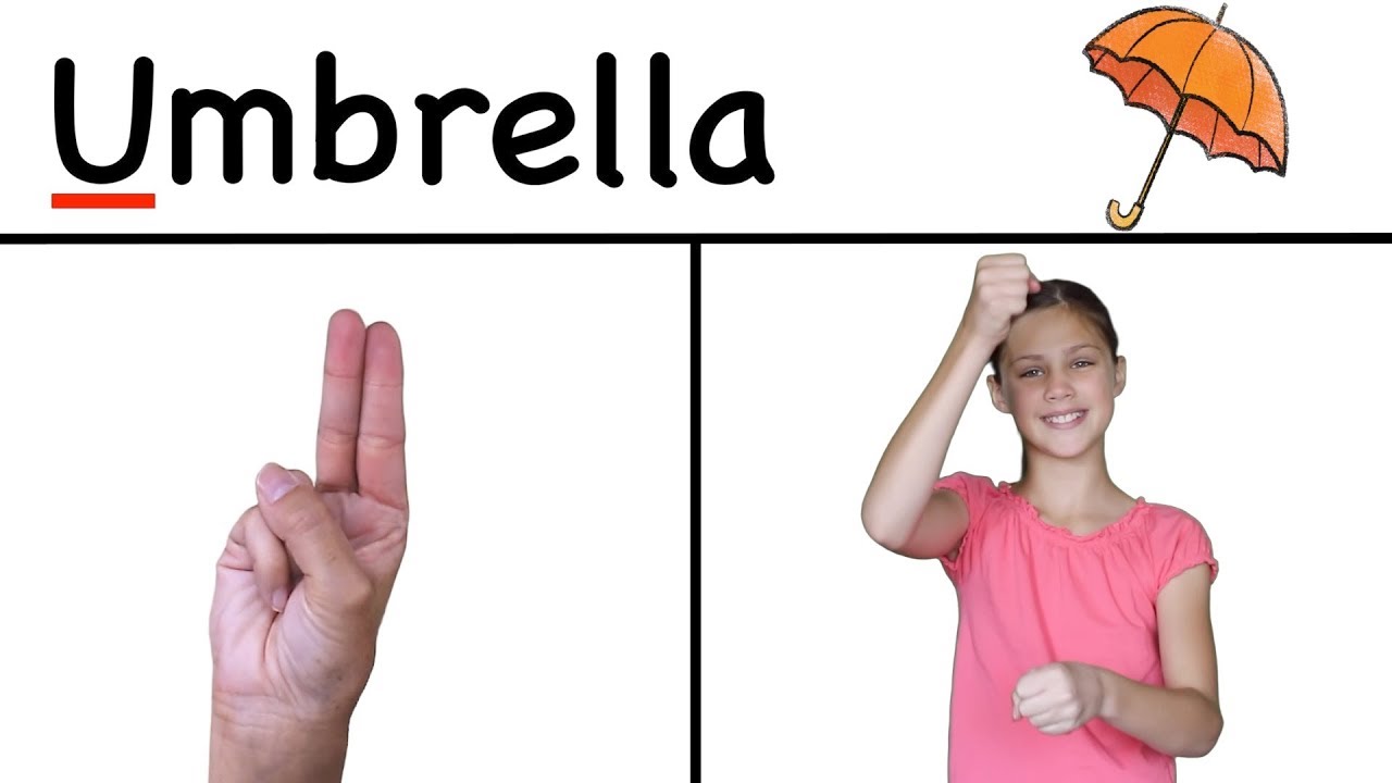 Abc Song Sign Language ZED version ASL ABC Song | NEW with ASL Letters and Signs - YouTube