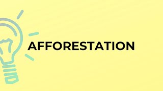 What is the meaning of the word AFFORESTATION