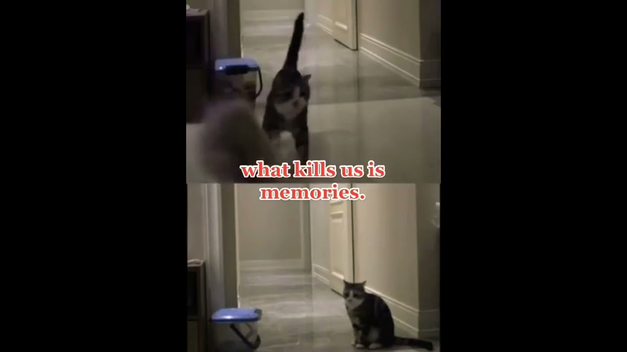 Things end but memories last forever🥺🥺