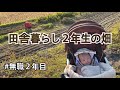 【畑の総集編】信じるだけじゃ育たない……赤ちゃんも野菜も　#不育症から出産