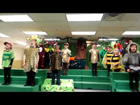 2013 Ms Goodman's First grade play, Haycock Elementary School: The Great Kapok Tree