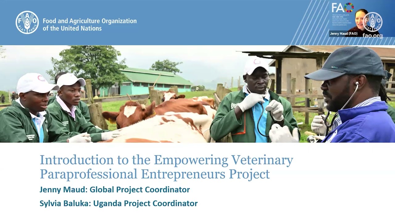 Assessing the impact of the ''Empowering Veterinary Paraprofessional Entrepreneurs