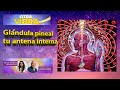 Glándula pineal, tu antena interna | Otar vibra 8vo