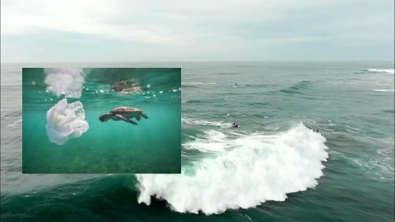 Bikini Bottom Lore (psyop lol) YouTube