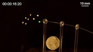 2019 Ferromagnetic soft continuum robots 7