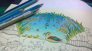 Colouring Tutorial: Colour With Peta.  Duck Pond, Part1.