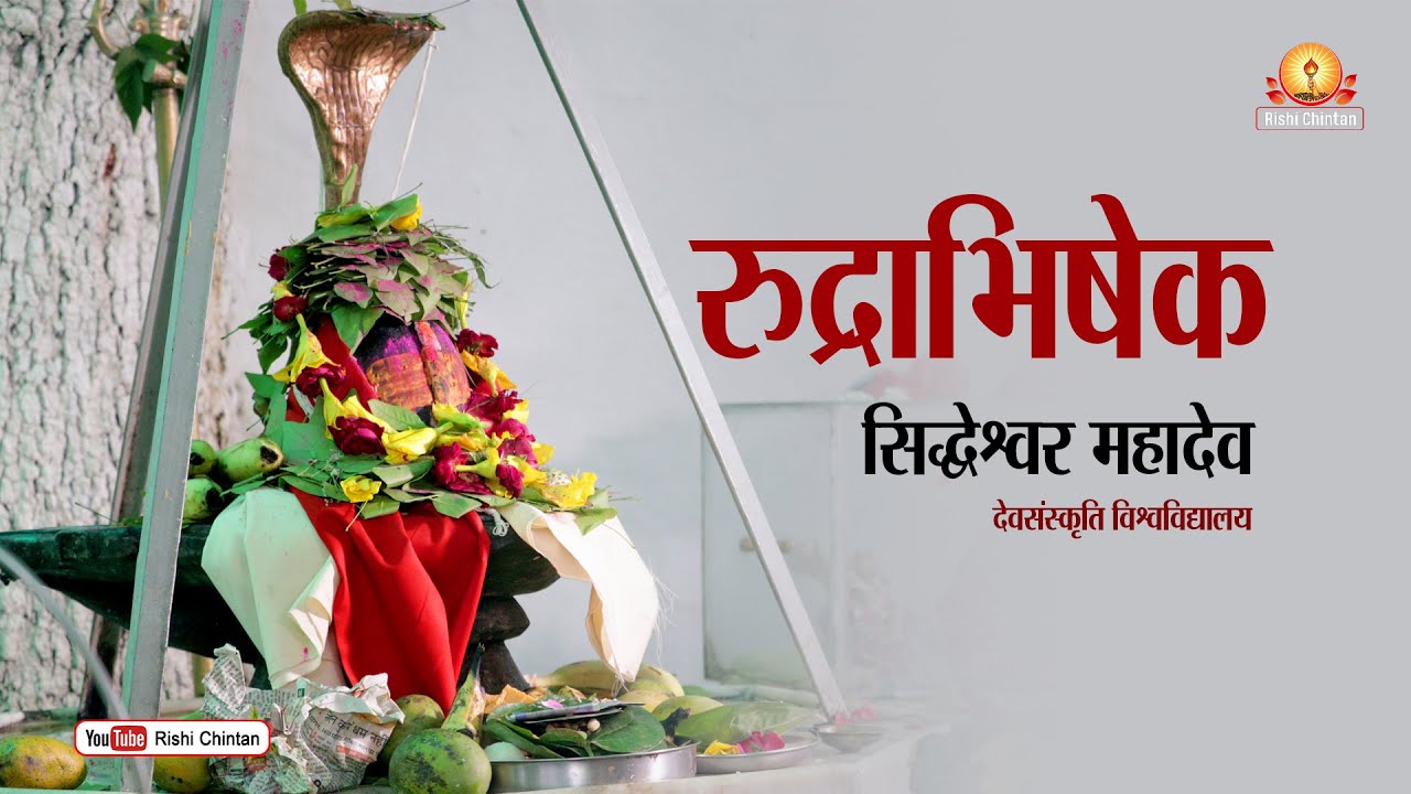 सिद्धेश्वर महादेव रुद्राभिषेक | Siddheshwar Mahadev Rudrabhishek | Dev Sanskriti Vishwavidyalaya
