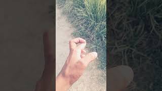 Viral Viral  Bahut Hi Jyada Viral  