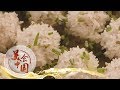 《美食中国》 好水育好材 20200201 | 美食中国 Tasty China