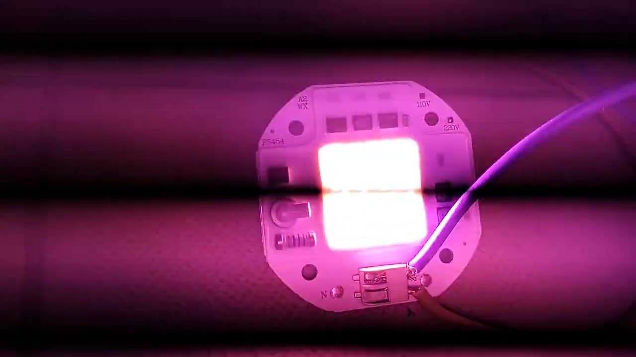 Prova test piccolo led a spettro completo viola per la crescita di piante senza luce o in casa