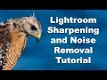 Lightroom Tutorial - Sharpening and Noise Reduction Nikon D500 RAW files.