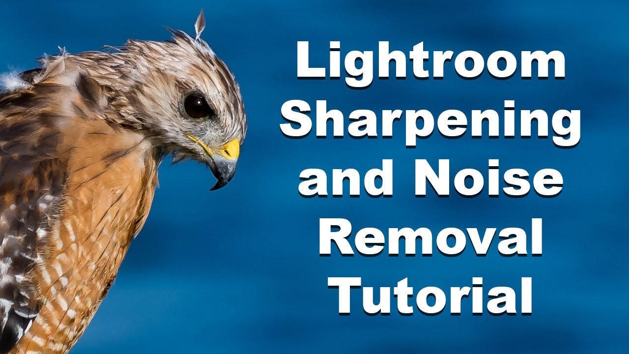 Lightroom Tutorial Sharpening and Noise Reduction Nikon D500 RAW