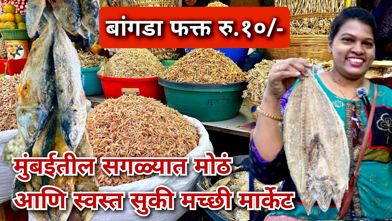 मुंबईतील सगळ्यात स्वस्त सुकी मच्छी मार्केट | बांगडा फक्त १० रुपये | Mumbai’s Largest Dry Fish Market