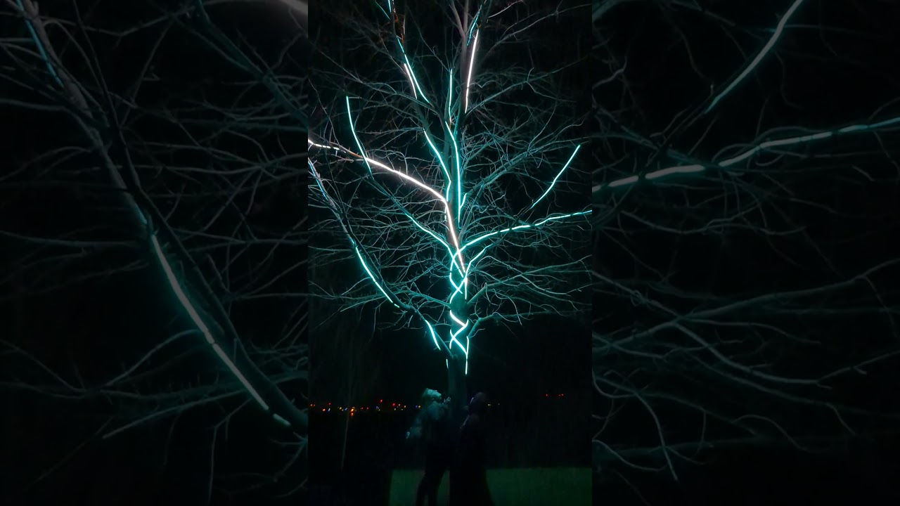 Lumiere Art of Light: Tree Love 