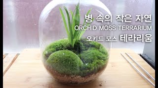 ORCHID MOSS TERRARIUM ㅣ유리병속 작은 자연  '오키드 모스 테라리움' 만들기ㅣ착생난초와 이끼의 조화로움ㅣGROW MOSS ㅣ 이끼 테라리움 ㅣ