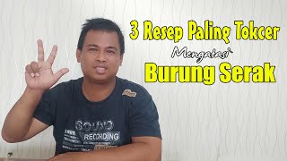 3 WAYS TO OVERCOME A HOARUS BIRD'S VOICE NATURALLY - HOW TO OVERCOME A HOARUS BIRD'S VOICE 3 WAYS TO OVERCOME A HOARUS BIRD'S VOICE NATURALLY - HOW TO OVERCOME A HOARUS BIRD'S VOICE