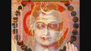 Evolution - Goa Remix