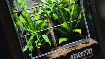 Making of the Heretic V4 Automated Green Tree Python Enclosure