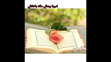 حالات واتس اب دينيه قران كريم بصوت القارئ فارس عباد