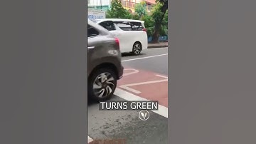 Everyone is SHOCKED by how road crossings work in Indonesia.