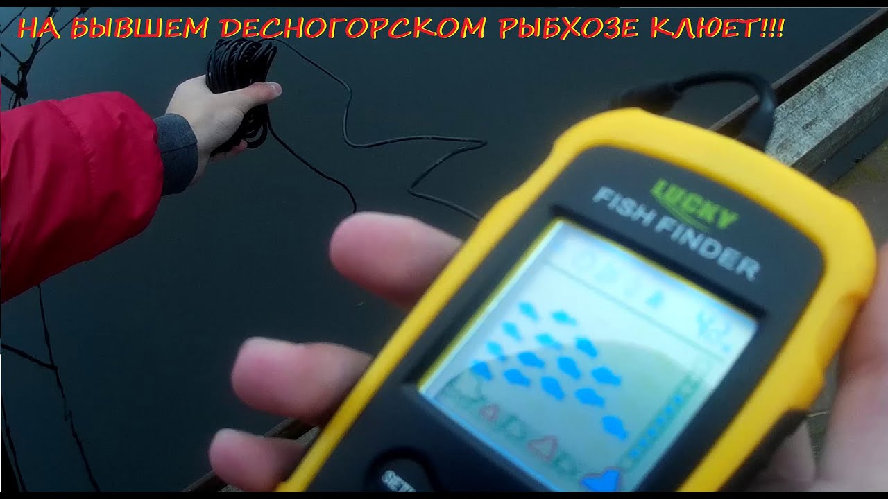 А что на бывшем Десногорском рыбхозе???