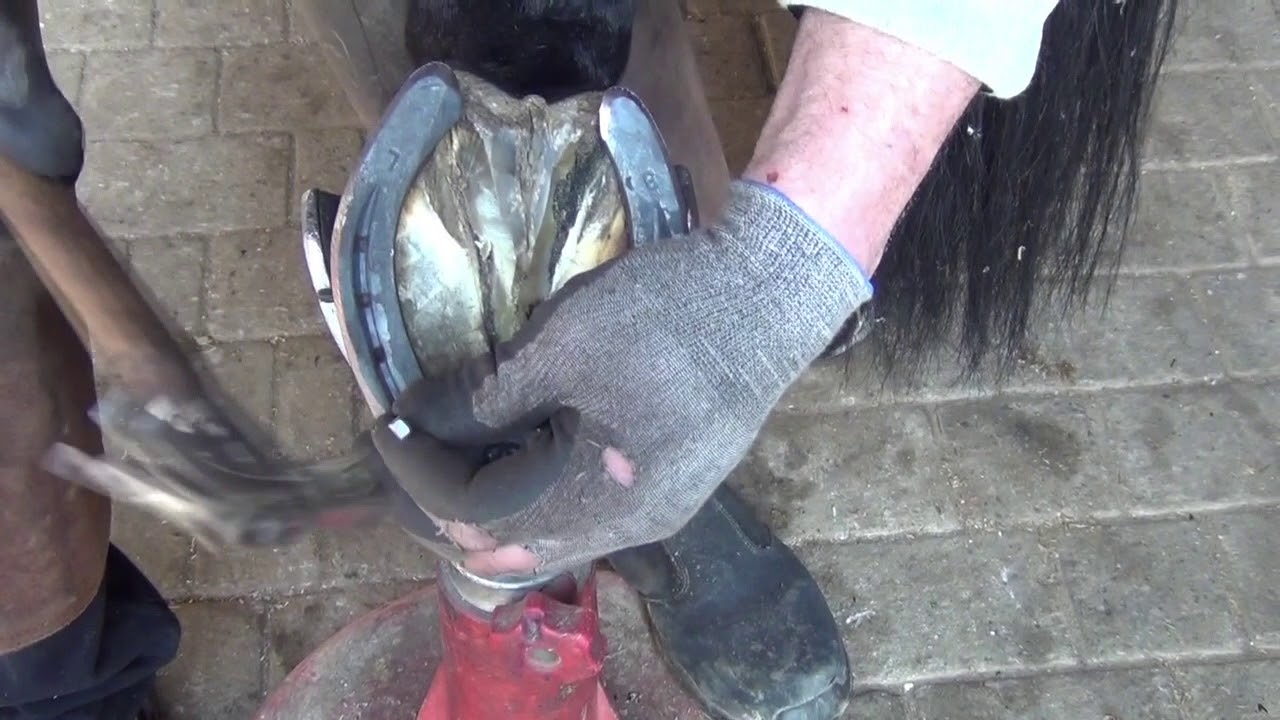 Mascalcia e Rifiniture