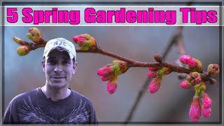 5 Spring Gardening Tips