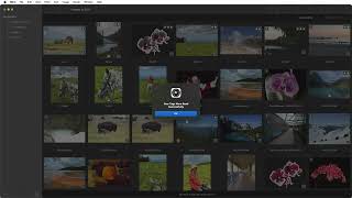 Tagging files with Nitro