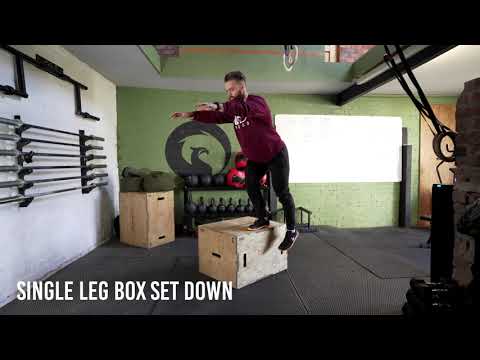 Single Leg Box Step Down