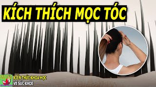 9 Loại thảo mộc giúp tóc mọc dày trở lại