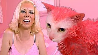 Pink Obsessed Cat Lady Goes Too Far