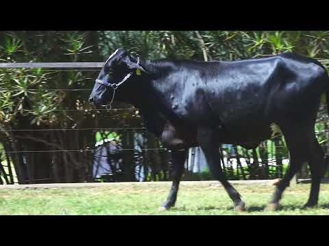 LOTE 188 5860CR