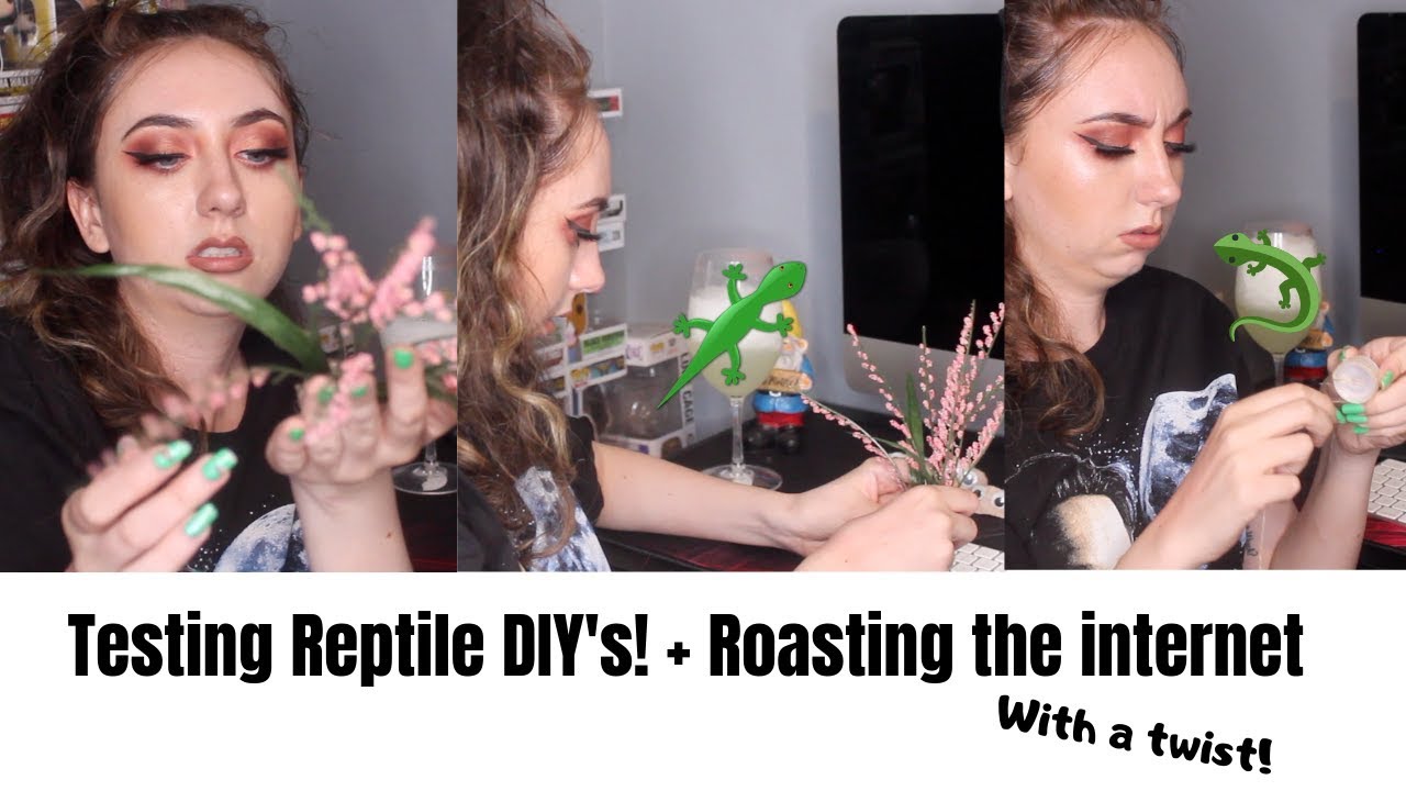 camera iphone 8 plus apk Testing reptile DIYs (and roasting half the internet)