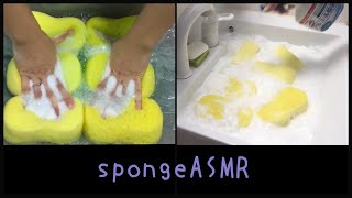 【ASMR】6mini car sponges w/ detergent water