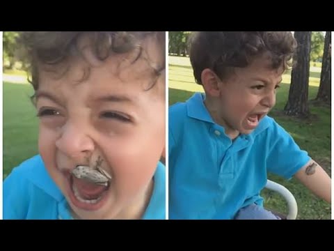Frog Attacks Little Boy